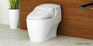 Bio Bidet BB-1000 Toilet Seat