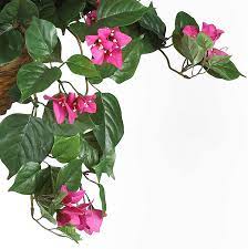 Nearly Natural 24" Bougainvillea Hanging Basket Silk Plant