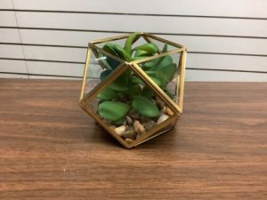 Opalhouse 5" Artificial Succulent Plant With Brass Terrarium 