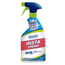 Woolite INSTAclean Permanent Stain Remover