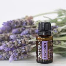 Best for Relaxation: doTERRA Lavender Essential Oil