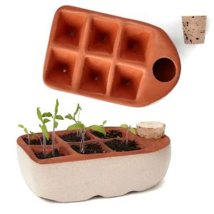 Self-Watering Seedling Starter