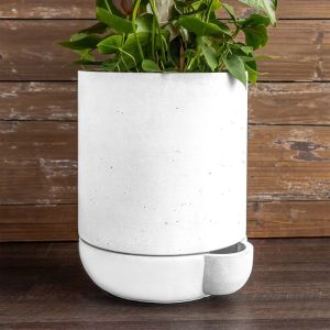 The Simple Self-Watering Pot